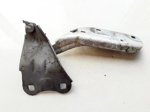 hingedoor-check-strap-renault-twingo-ii-cn0_-2007-35863163 main image