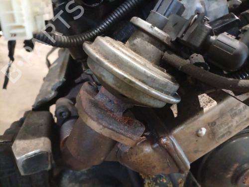 Used Egr Egr 38259121 38259121