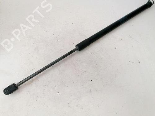 tailgate-lift-support-renault-scenic-ii-jm01_-2003-2004-2005-2006-2007-2008-2009-2010-35528659 main image