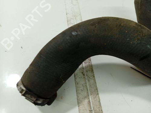 Pipe CITROËN C5 III (RD_) 2.0 HDi (RDRHD8, RDRHDJ, RDRHR8, RDRHRJ) | BP32531042M125