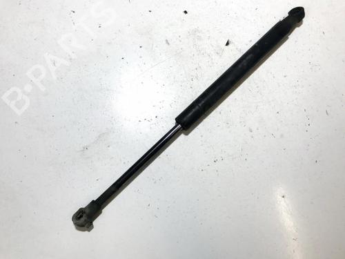 tailgate-lift-support-lexus-gs-_s19_-2005-2006-2007-2008-2009-2010-2011-2012-35844835 main image