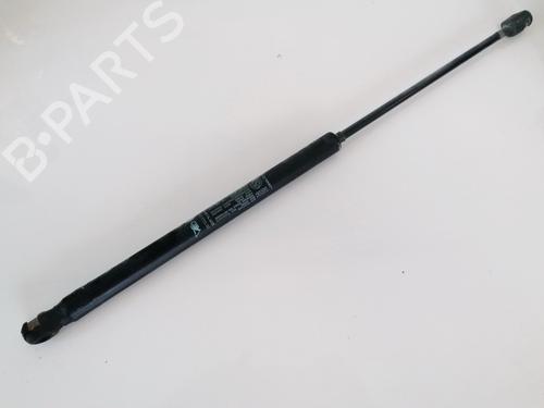 tailgate-lift-support-fiat-stilo-192_-2001-2002-2003-2004-2005-2006-2007-2008-2009-2010-35508729 main image