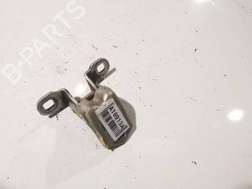 hingedoor-check-strap-renault-scenic-ii-jm01_-2003-2004-2005-2006-2007-2008-2009-2010-33837764 main image