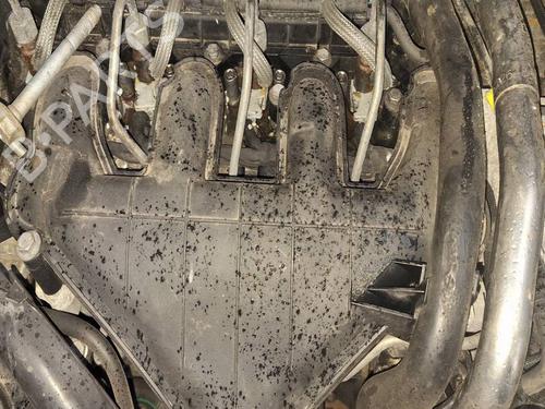 Used Intake manifold Intake manifold CITROËN C5 III (RD_) 2.0 HDi (RDRHD8, RDRHDJ, RDRHR8, RDRHRJ) (136 hp) 40052644 40052644