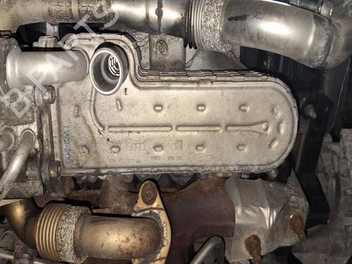 Egr SEAT LEON (1P1) 1.9 TDI | BP38431922M69 - Image 3