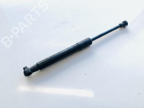hood-lift-support-peugeot-rcz-2010-2011-2012-2013-2014-2015-35533705 main image