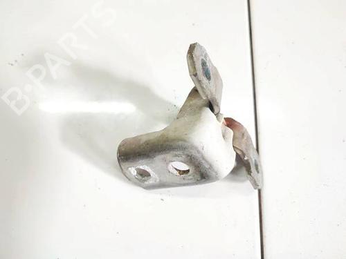 hingedoor-check-strap-renault-laguna-ii-bg01_-2001-2002-2003-2004-2005-2006-2007-32572551 main image