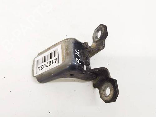 hingedoor-check-strap-renault-megane-iii-hatchback-bz01_-b3_-2008-32555753 main image