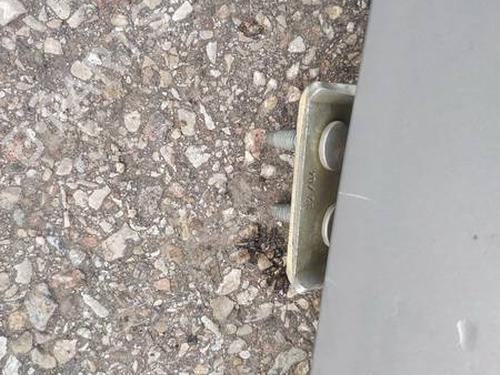 Used Hinge/Door check strap Hinge/Door check strap 35240747 35240747