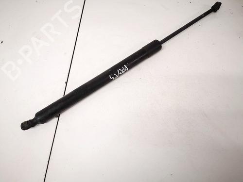 tailgate-lift-support-ford-galaxy-ii-wa6-2006-2007-2008-2009-2010-2011-2012-2013-2014-2015-35474243 main image
