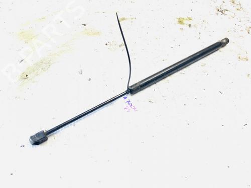 tailgate-lift-support-renault-scenic-ii-jm01_-2003-2004-2005-2006-2007-2008-2009-2010-35534146 main image