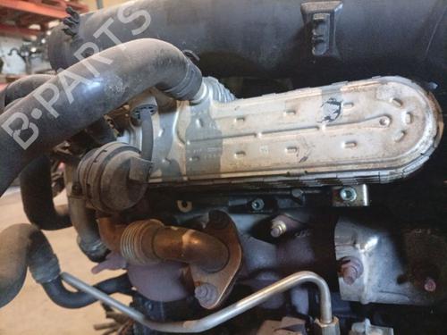 Used Egr Egr 38103174 38103174