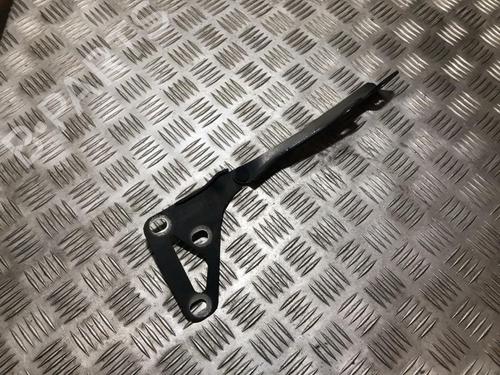 Used Hinge/Door check strap Hinge/Door check strap OPEL SIGNUM Hatchback (Z03) 2.2 DTI (F48) (125 hp) 35697619 35697619