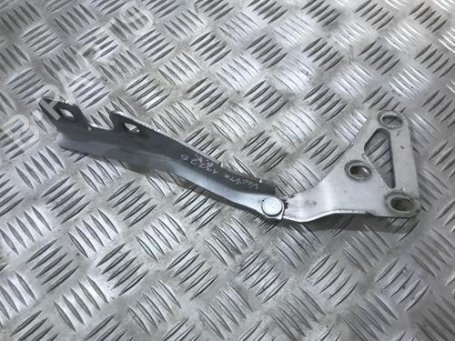 hingedoor-check-strap-opel-vectra-c-z02-2002-2003-2004-2005-2006-2007-2008-2009-35680548 main image