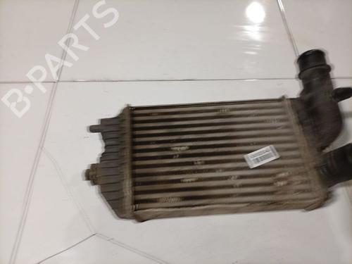 Intercooler Intercooler FIAT DUCATO Van (244_) 2.8 JTD 4x4 (128 hp) 36583946 36583946