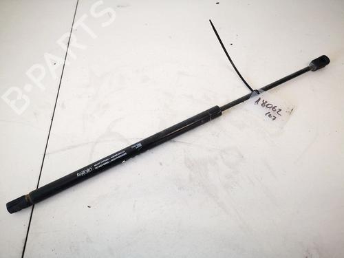 tailgate-lift-support-renault-scenic-ii-jm01_-2003-2004-2005-2006-2007-2008-2009-2010-35428821 main image