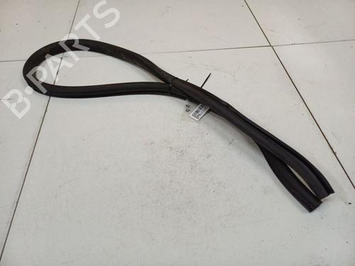 Gummiliste VW PASSAT CC B6 (357) 1.8 TSI | BP34798729C142 - Image 4
