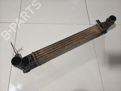 Intercooler Intercooler FORD GALAXY I (WGR) 1.9 TDI (90 hp) 36584820 36584820