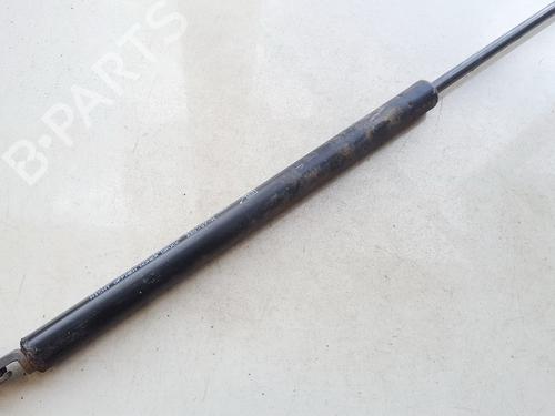 tailgate-lift-support-toyota-yaris-_p1_-1999-2000-2001-2002-2003-2004-2005-35856921 main image
