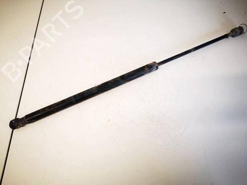 tailgate-lift-support-renault-scenic-ii-jm01_-2003-2004-2005-2006-2007-2008-2009-2010-36102105 main image