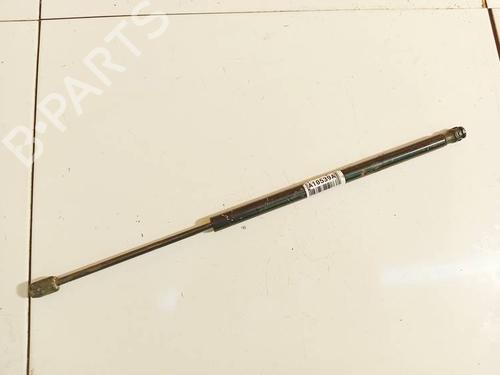 tailgate-lift-support-renault-scenic-ii-jm01_-2003-2004-2005-2006-2007-2008-2009-2010-34950077 main image