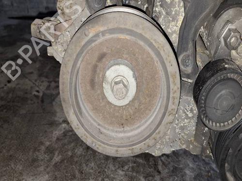 Used Pulley Pulley RENAULT SCÉNIC III (JZ0/1_) 1.5 dCi (110 hp) 34782810 34782810