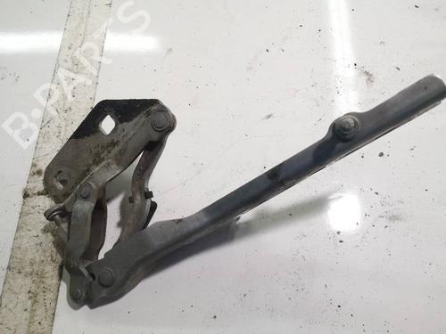 Used Hinge/Door check strap Hinge/Door check strap AUDI A8 D3 (4E2, 4E8) 4.2 quattro (335 hp) 34813509 34813509