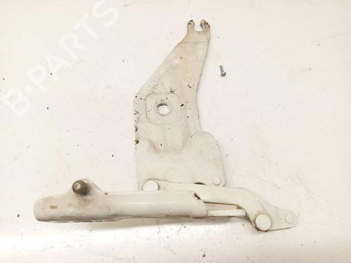 Hinge/Door check strap BMW X6 (E71, E72) xDrive 30 d | BP34850119C146 - Image 2
