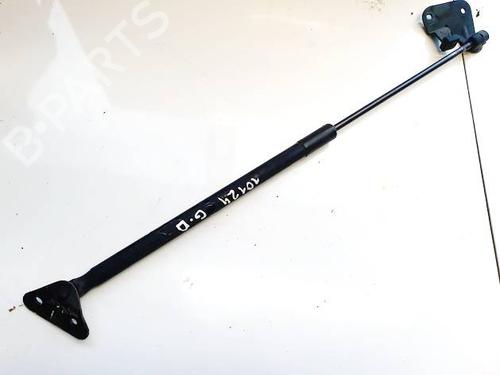 Tailgate lift support BMW X1 (E84) sDrive 18 d | BP35032117C138 - Image 3