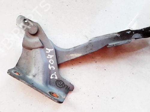 Used Hinge/Door check strap Hinge/Door check strap KIA SPORTAGE II (JE_, KM_) 2.0 i 16V (141 hp) 35866100 35866100