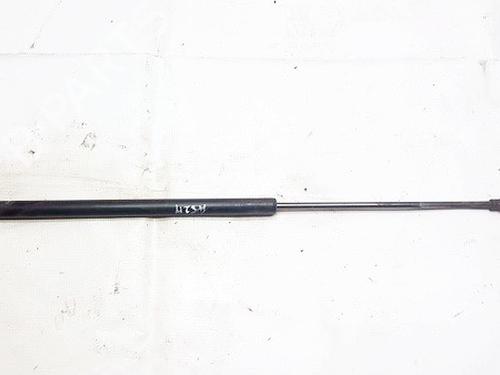 tailgate-lift-support-renault-koleos-i-hy_-2008-35874625 main image