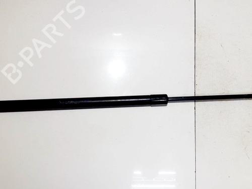 tailgate-lift-support-honda-cr-v-iii-re_-2006-35851991 main image