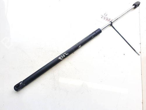 tailgate-lift-support-renault-scenic-ii-jm01_-2003-2004-2005-2006-2007-2008-2009-2010-35353843 main image