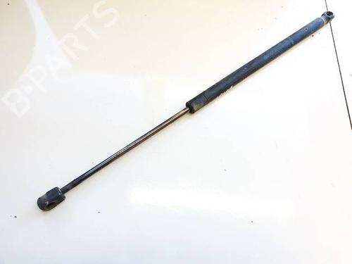 tailgate-lift-support-renault-scenic-ii-jm01_-2003-2004-2005-2006-2007-2008-2009-2010-35020578 main image