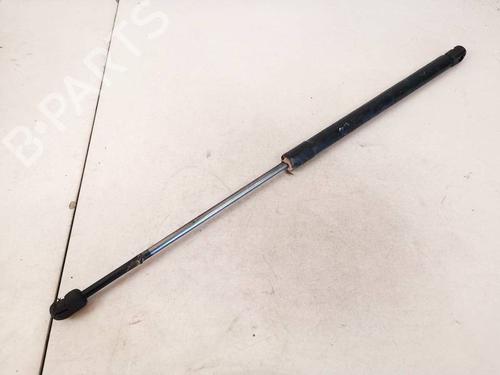 tailgate-lift-support-toyota-rav-4-ii-_a2_-2000-2001-2002-2003-2004-2005-35315367 main image