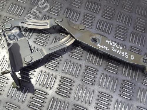 hingedoor-check-strap-renault-scenic-ii-jm01_-2003-2004-2005-2006-2007-2008-2009-2010-35675793 main image
