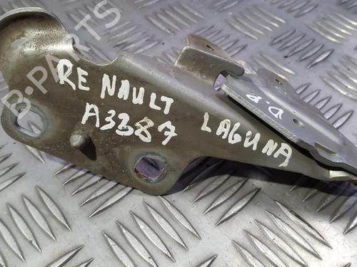 hingedoor-check-strap-renault-laguna-ii-bg01_-2001-2002-2003-2004-2005-2006-2007-35678080 main image