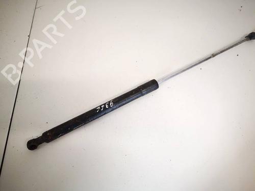 tailgate-lift-support-renault-laguna-iii-bt01-2007-2008-2009-2010-2011-2012-2013-2014-2015-35205138 main image