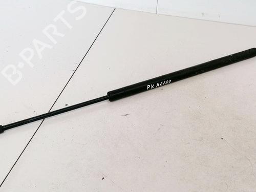 hood-lift-support-peugeot-607-9d-9u-2000-35593162 main image