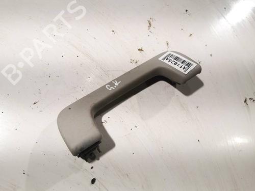interior-roof-handle-audi-a3-8p1-2003-2004-2005-2006-2007-2008-2009-2010-2011-2012-2013-34853406 main image