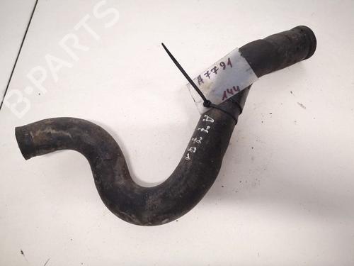 Used Pipe NISSAN PRIMERA Hatchback (P12) 1.9 dCi (120 hp) 32903503