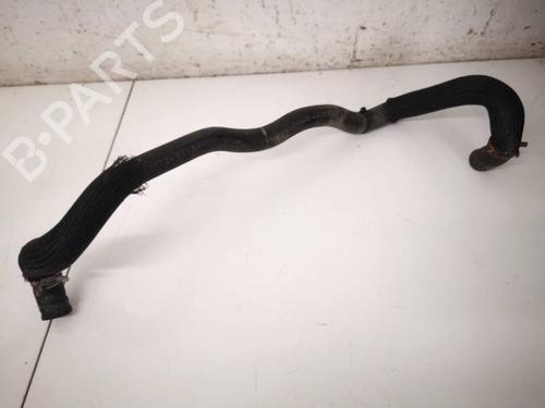 Used Pipe SUZUKI MOTORCYCLES GSF BANDIT GSF 250ZP Bandit (GJ74A) (40 hp) 32533134