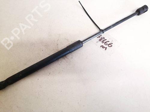 tailgate-lift-support-bmw-x5-e70-2006-2007-2008-2009-2010-2011-2012-2013-35342876 main image