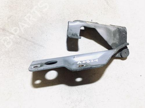 hingedoor-check-strap-nissan-almera-ii-hatchback-n16-2000-35602769 main image