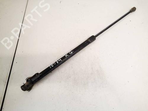 tailgate-lift-support-toyota-yaris-_p1_-1999-2000-2001-2002-2003-2004-2005-35094203 main image