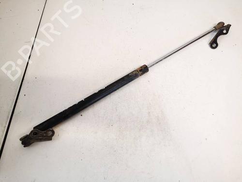 tailgate-lift-support-toyota-yaris-_p1_-1999-2000-2001-2002-2003-2004-2005-35094204 main image
