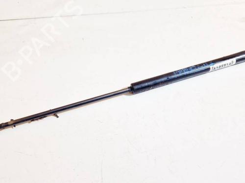 tailgate-lift-support-fiat-stilo-192_-2001-2002-2003-2004-2005-2006-2007-2008-2009-2010-34967099 main image