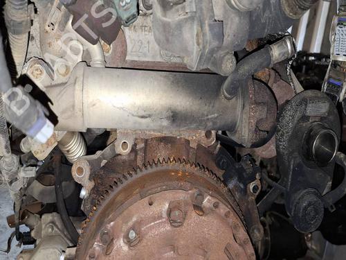 Egr FIAT DUCATO Van (250_) 100 Multijet 2,2 D | BP40113436M69 - Image 3