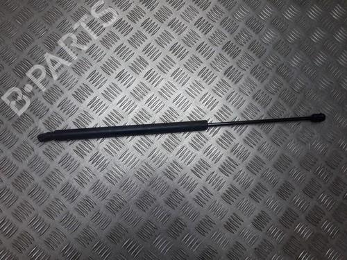 tailgate-lift-support-ford-s-max-wa6-2006-2007-2008-2009-2010-2011-2012-2013-2014-35834767 main image