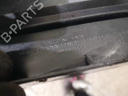 Grill TESLA MODEL Y (5YJY) Long Range All-wheel Drive | BP34846370C40 - Image 3